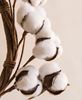 Cotton Wreath, 12"