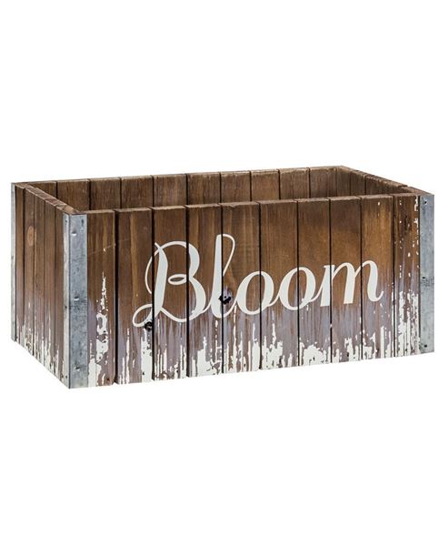 Bloom Flower Box