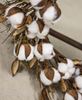 Cotton and Twig Wreath 