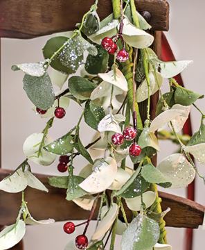 Picture of Winter Silver Dollar Garland