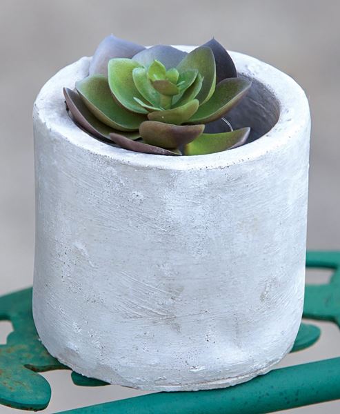 Picture of Classic Cement Planter