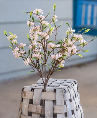 Picture of Bliss Buds Bush, Light Pink, 14”