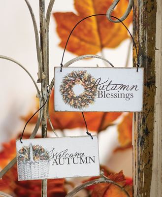 Picture of Autumn Blessings Ornament, 2 Asstd.