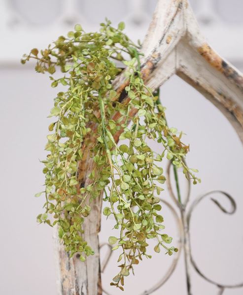 Picture of 19" Hanging Baby's Grass