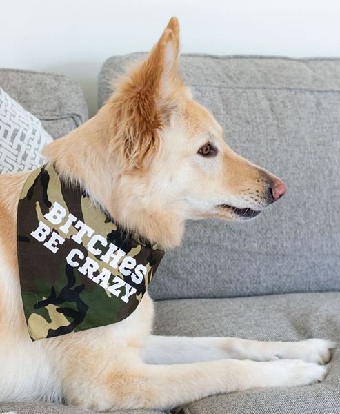Picture of Be Crazy Doggie Bandana