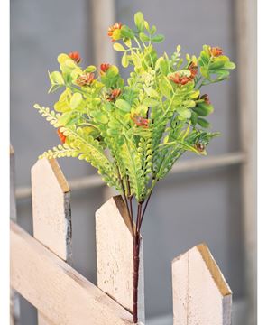Picture of Succulent Bush, Coral Buds