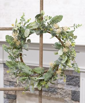 Picture of Aberdeen Sea Holly Wreath, 20"