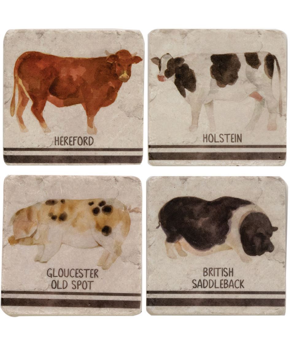 Cow Coasters Set Of 4 Farm Animal Farmhouse Table Decor 