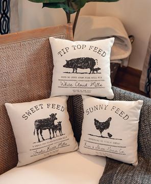 Picture of Sunny Feed Farmhouse Pillow