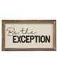Picture of Be the Exception Frame