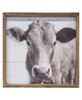 Picture of Farm Animal Portrait Frame, 3 Asstd.
