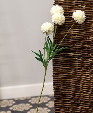 Picture of Chrysanthemum Pompom Ball Spray, 23", White