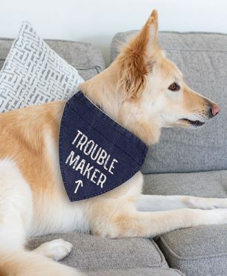 Picture of Trouble Maker Dog Bandana
