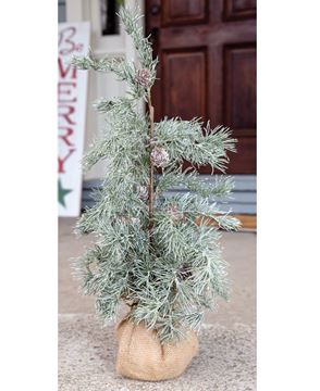Picture of Weeping Pine Tree with Burlap Base, 22"