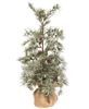 Picture of Weeping Pine Tree with Burlap Base, 22"