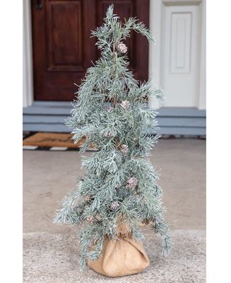 Picture of Weeping Pine Tree with Burlap Base, 30"
