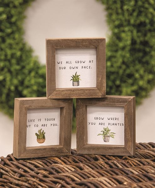 Picture of We All Grow Mini Frame, 3 Asstd.