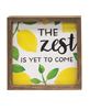 Picture of The Zest Is Yet To Come Framed Box Sign, 3 Asstd.