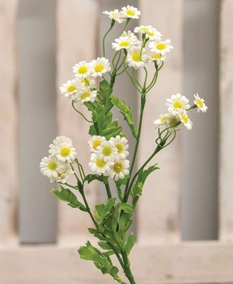 Picture of Chamomile Flower Spray, White