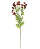 Picture of Chamomile Flower Spray, Red