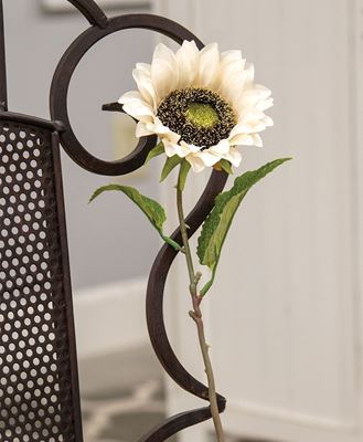 Picture of Blooming Sunflower Stem,  Champagne