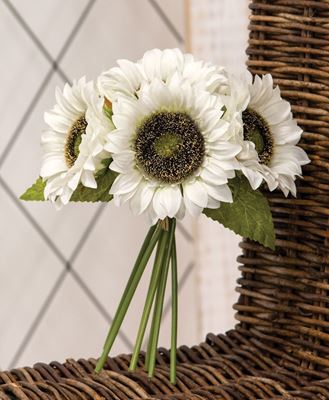 Picture of White Sunflowers Bouquet