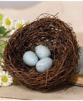 Picture of Vine Robin's Nest w/Blue Eggs