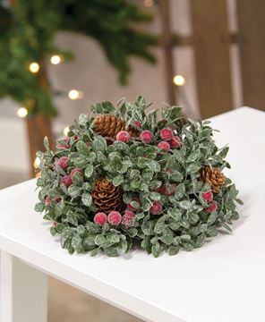 Picture of Icy Boxwood & Sugar Berry Half Sphere