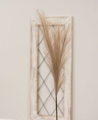 Picture of Pampas Grass Pick, 28", Taupe