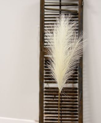 Picture of Pampas Grass Pick, 28", Cream
