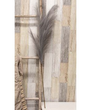 Picture of Weeping Pampas Grass Branch, Gray