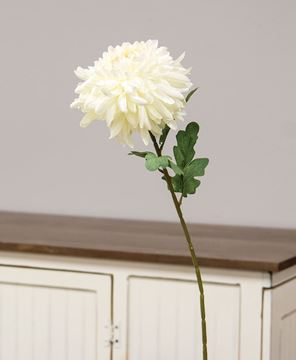 Picture of Chrysanthemum Branch, Cream, 30"