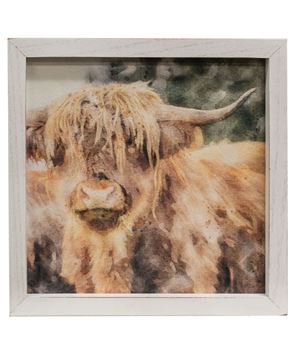 Picture of Shaggy Steer Framed Portrait