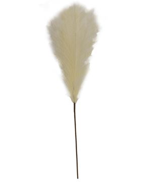 Picture of Pampas Grass Pick, 28", Natural