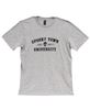 Picture of Spooky Town University T-Shirt, Heather Gray XXL