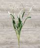 Picture of Icker Flower & Leaves Spray, White