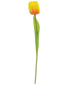 Picture of Sunrise Tulip Stem, 15.5"