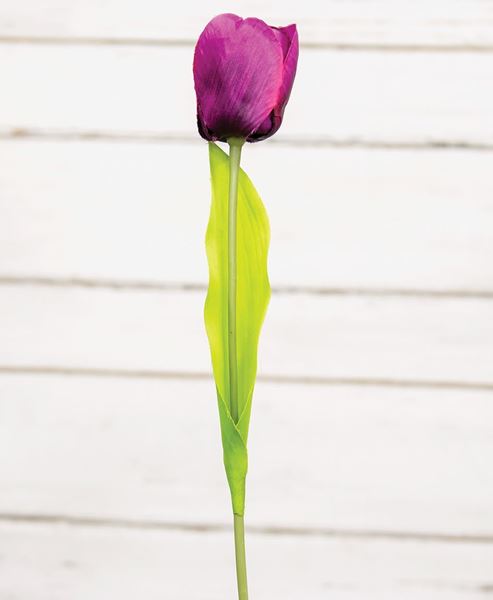 Picture of Purple Tulip Stem, 15.5"