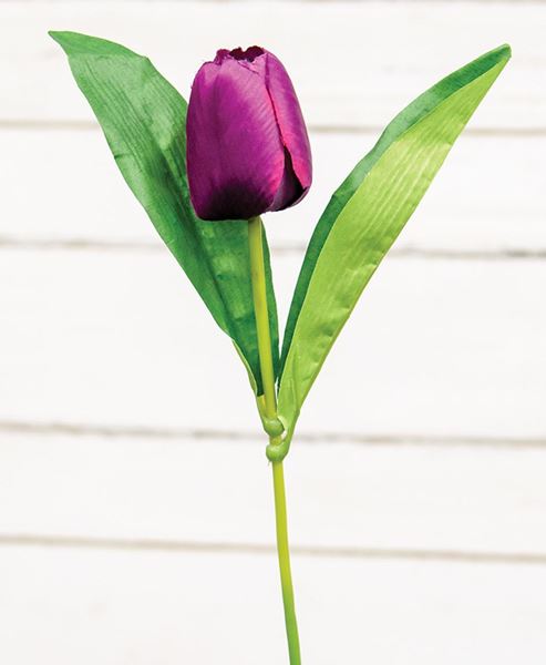 Picture of Purple Tulip Stem, 17.5"