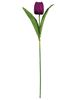 Picture of Purple Tulip Stem, 17.5"