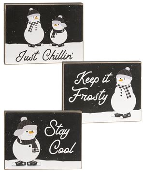 Picture of Stay Cool Snowman Block, 3 Asstd.