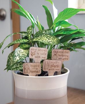 Picture of You're Stuck With Me House Plant Poke, 4 Asstd.
