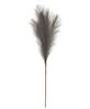 Picture of Pampas Grass Pick, 28", Gray