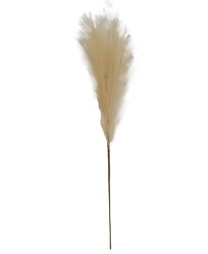 Picture of Pampas Grass Pick, 28", Cream