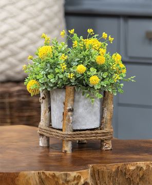 Picture of Small Cement Planter in Birch Frame
