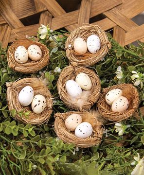 Picture of Natural Eggs in Nests, 6/Set