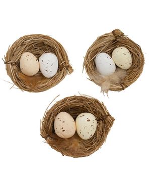 Picture of Natural Eggs in Nests, 6/Set