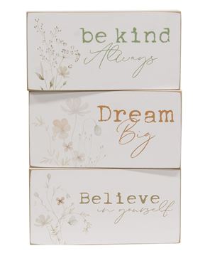 Picture of Dream, Believe, Be Kind Floral Block, 3 Asstd.