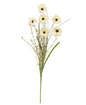 Picture of Wild Spring Geranium & Grass Spray, Cream