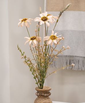 Picture of Blush Coneflower Spray